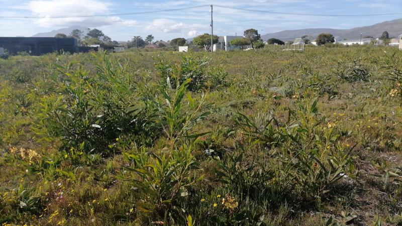 0 Bedroom Property for Sale in Fisherhaven Western Cape